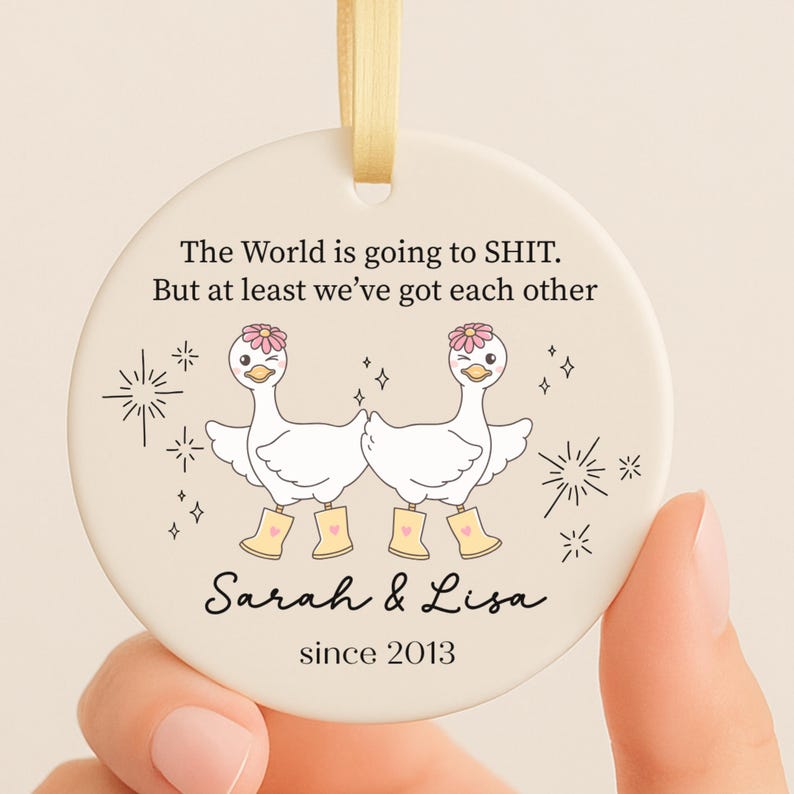 Funny Silly Goose Ornament for Best Friend or Coworker Christmas Gift product image 3