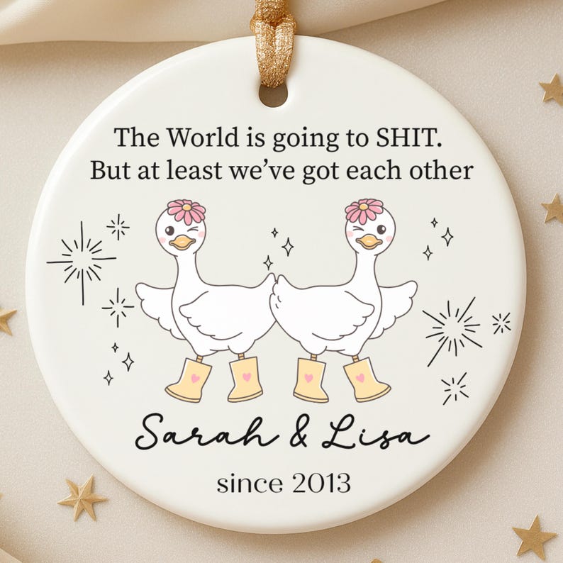 Funny Silly Goose Ornament for Best Friend or Coworker Christmas Gift product image 5