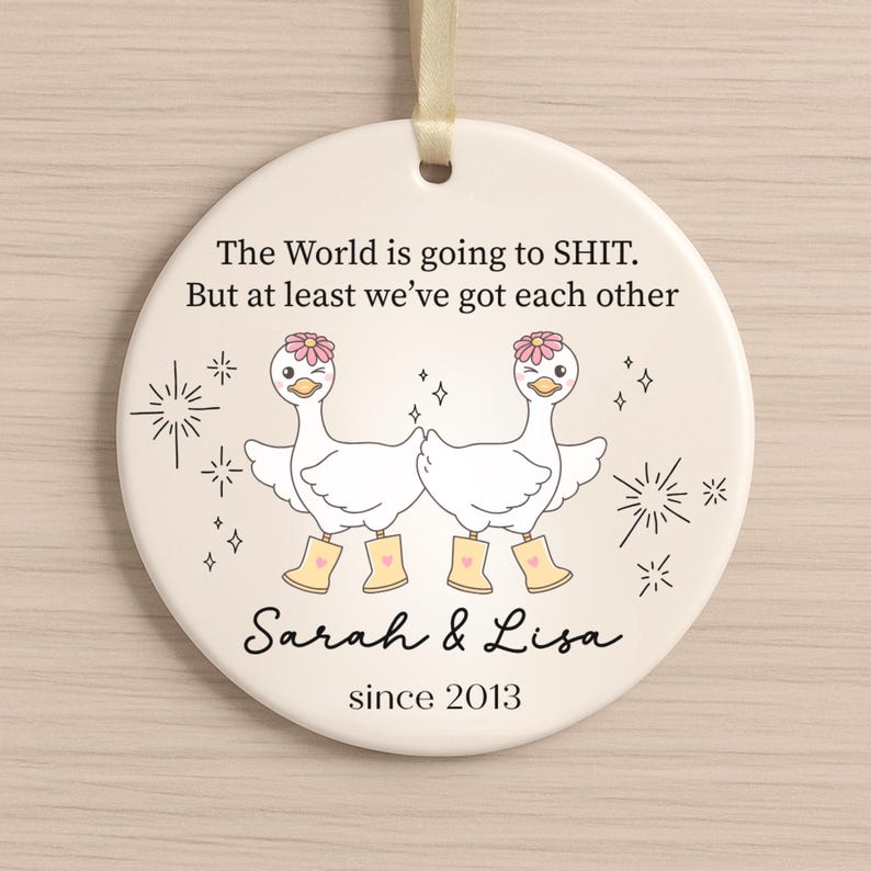 Funny Silly Goose Ornament for Best Friend or Coworker Christmas Gift product image 9
