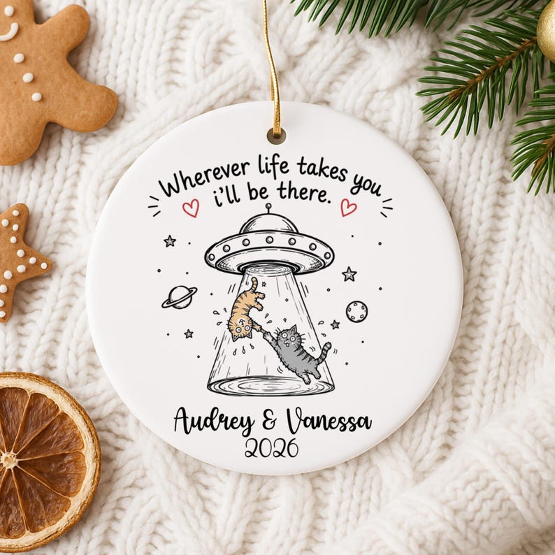 Best Friend Christmas Ornament Personalized | Funny Friendship Birthday Gift | Cat Lover Orname product image 11
