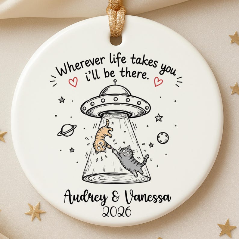 Best Friend Christmas Ornament Personalized | Funny Friendship Birthday Gift | Cat Lover Orname product image 9